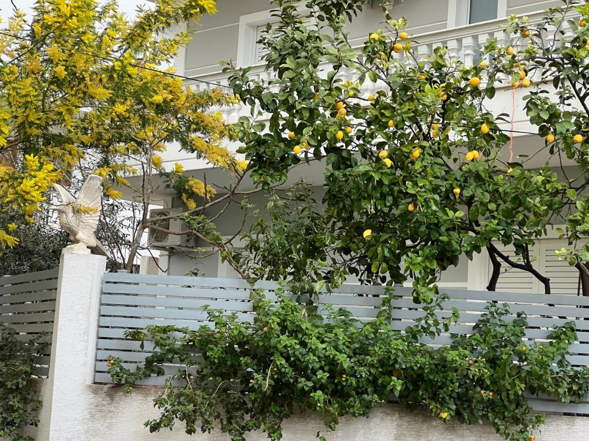 Apartments & Studios Ardian-Mandi Sarande-Albania Екстер'єр фото