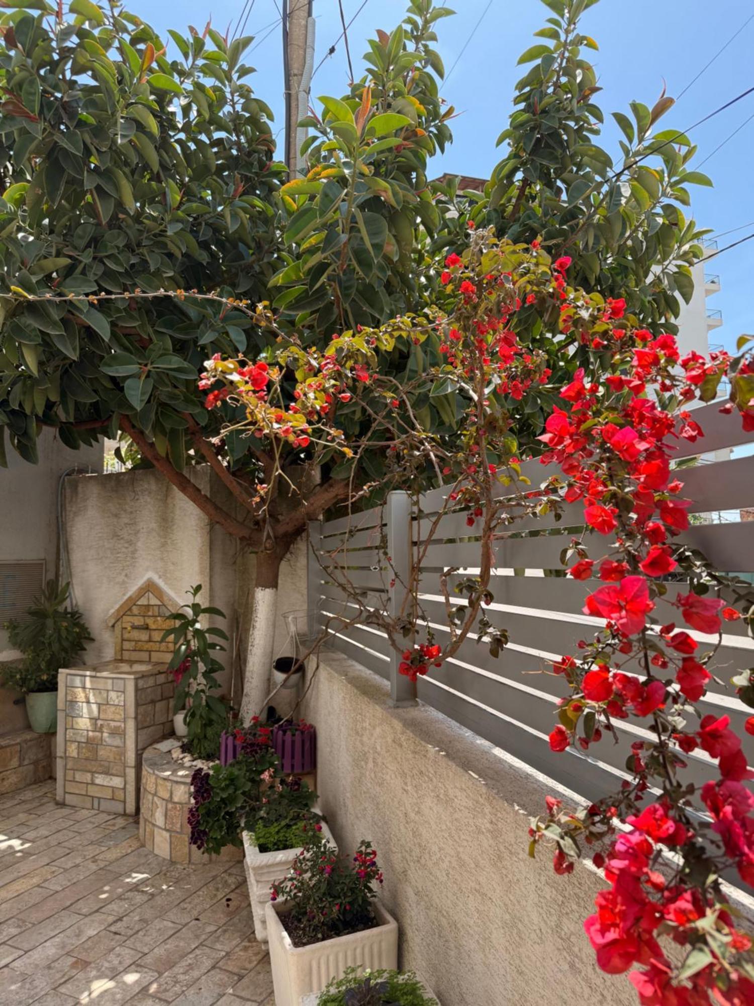 Apartments & Studios Ardian-Mandi Sarande-Albania Екстер'єр фото