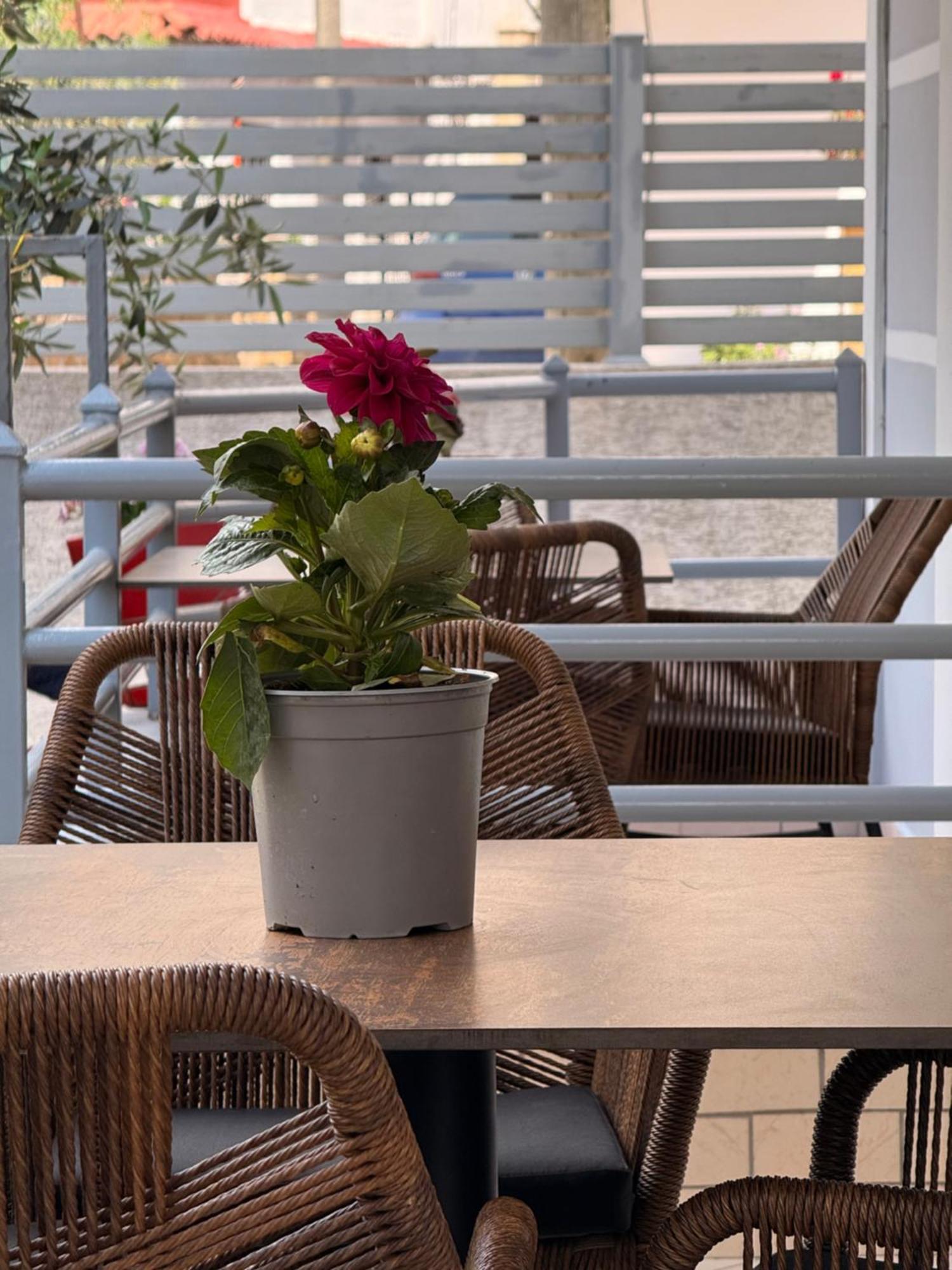 Apartments & Studios Ardian-Mandi Sarande-Albania Екстер'єр фото